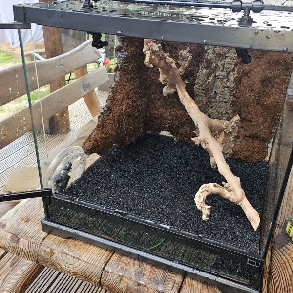Exo Terra Bioactive Terrarium  45 x45 x 45cm - new build Experience the Frog Father difference today. - Image 3