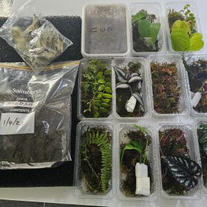 SAMPLE BIOACTIVE KIT