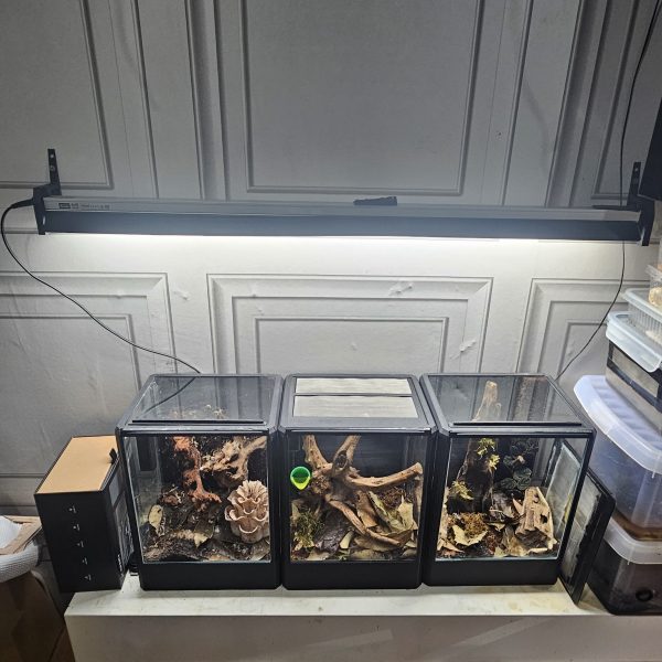 Pair of 3D printed wall mounts for Arcadia T5 lights – designed for vivariums