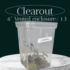 Pre-vented 6-inch mantid or isopod enclosure with rubber seal – clearance item
