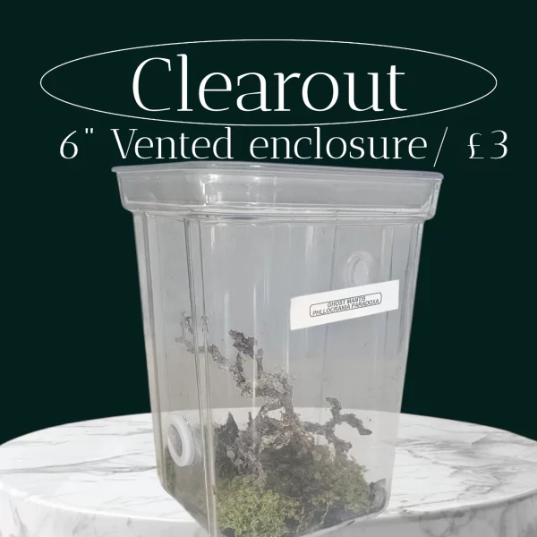Pre-vented 6-inch mantid or isopod enclosure with rubber seal – clearance item