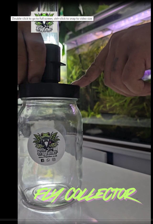 Screengrab of version 4 fruit fly feeding system for dart frogs showing mason jar lid with airlock and ventilation.