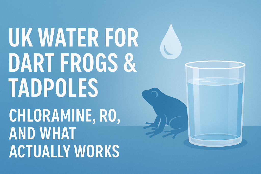 Dendrobates Azureus Blue Poison Dart Frog Care Sheet FROGFATHER dendrobates-azureus-blue-poison-dart-frog-care-sheet-frogfather