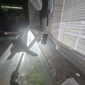 Arcadia LumenIZE T5 light riser lifting lighting unit above bioactive dart frog vivarium