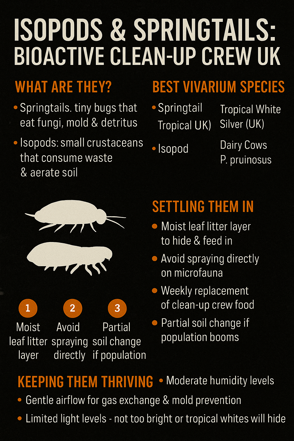 Infographic for UK keepers explaining springtails and isopods: species, care, and bioactive role in vivariums