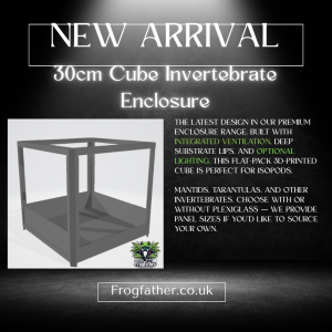 30cm cube invertebrate enclosure with integrated ventilation and optional lighting – new arrival from Frogfather