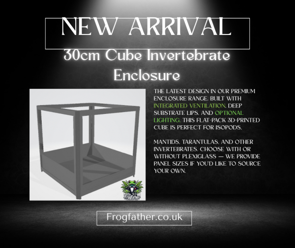 30cm cube invertebrate enclosure with integrated ventilation and optional lighting – new arrival from Frogfather