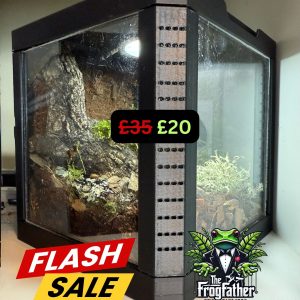 3D-Printed Isopod Display Vivarium – with Ventilation & Light Option *FLASH SALE*