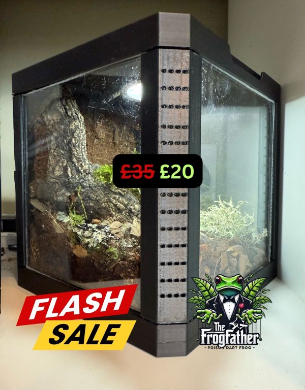 3D-Printed Isopod Display Vivarium – with Ventilation & Light Option *FLASH SALE*