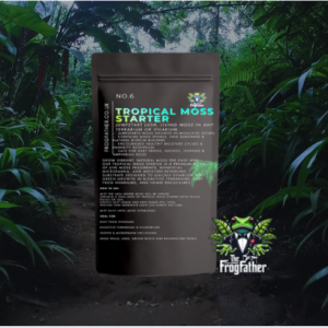 pAINT ON tROPICAL MOSS