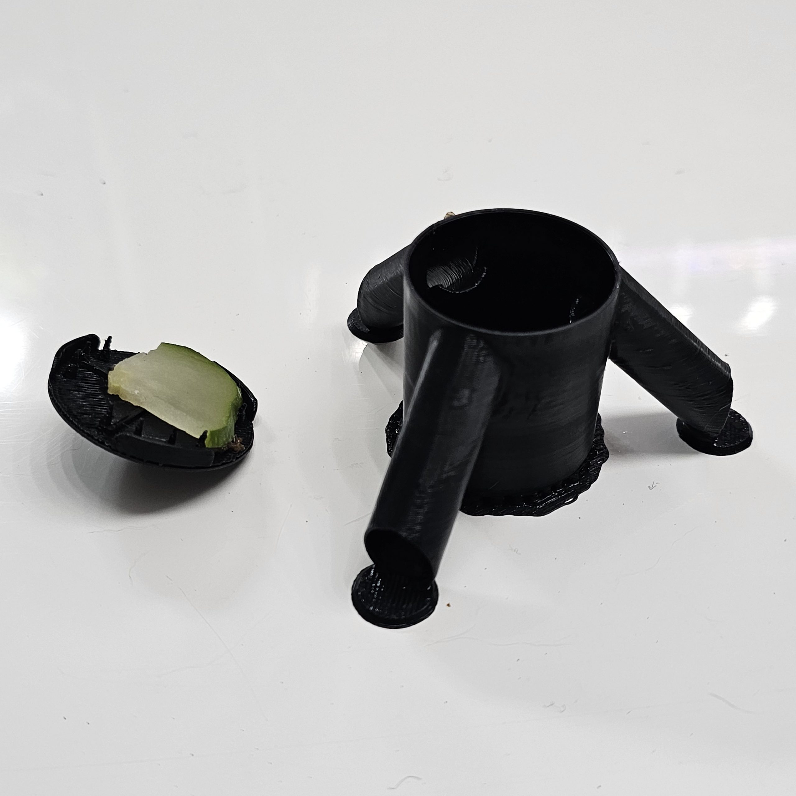 Bioactive Snail & Slug Removal Kit – Natural Pest Control for Vivariums & Terrariums - Image 3