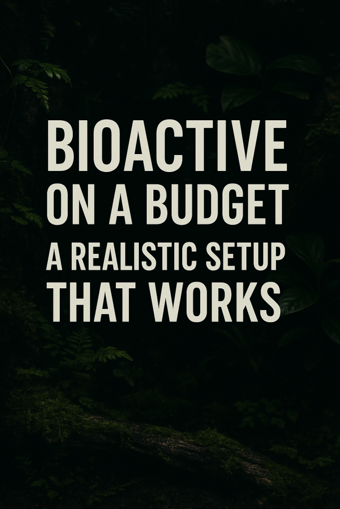 Moody rainforest background with bold white text reading: Bioactive on a Budget – A Realistic Setup That Work