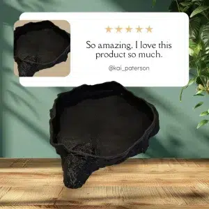 10 cm 3D-printed PLA clay bath holder for dart frogs, shown in green and brown, designed for bentonite clay treatments