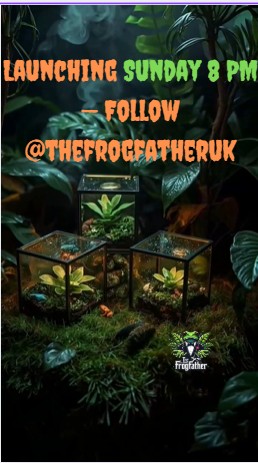 “Three glowing 3D-printed vivariums surrounded by tropical plants and dart frogs in a misty Halloween-themed setup, designed by Frogfather UK.”