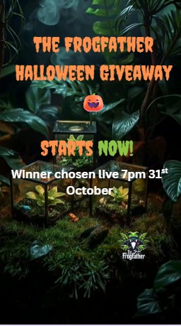 “Three 3D-printed vivariums glowing with soft orange and green LED light surrounded by tropical plants and dart frogs in a misty Halloween-themed setup by Frogfather UK.”