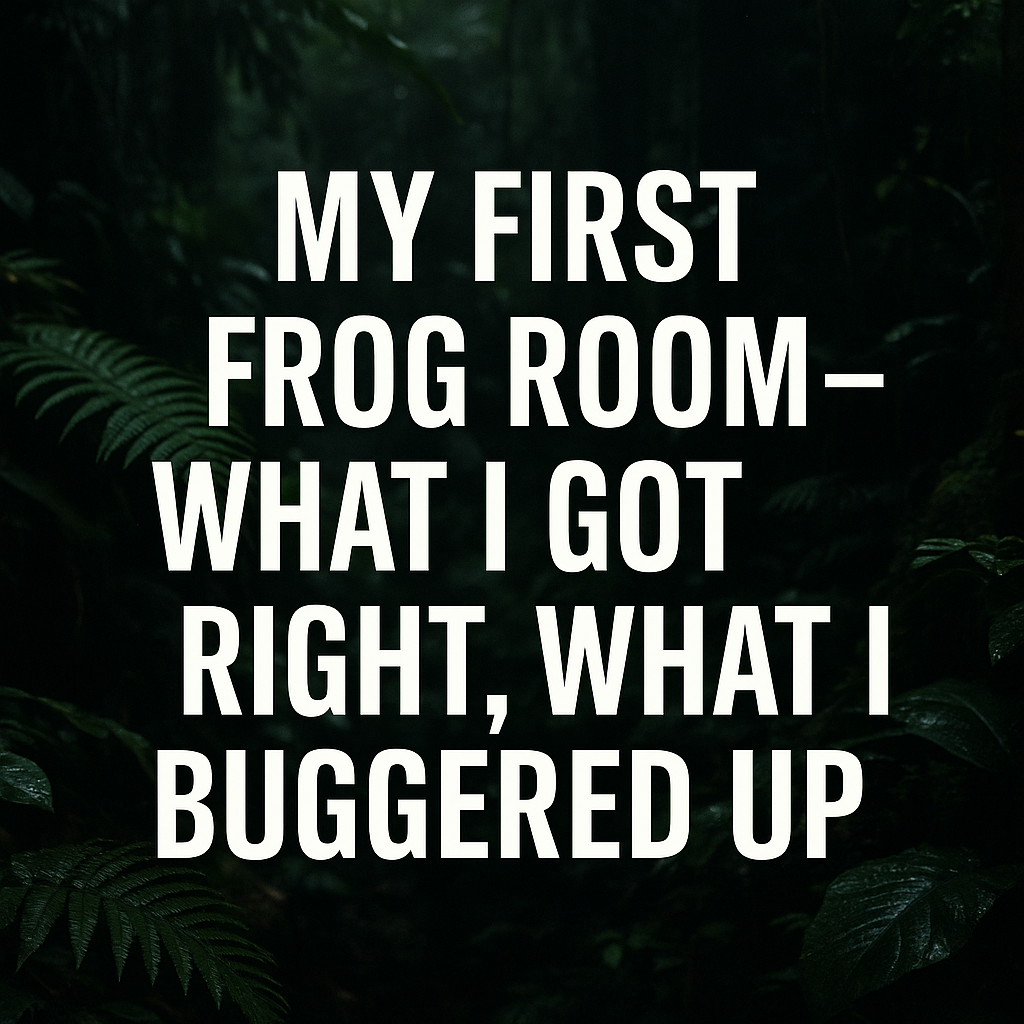 Dark rainforest background with bold white text: My First Frog Room – What I Got Right, What I Buggered Up