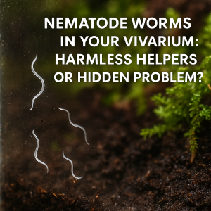 Tiny white nematode worms on vivarium glass with moss and soil visible behind