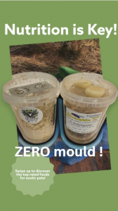 Side-by-side jars of fruit fly cultures showing one mouldy culture and one clean, healthy culture after using methylparaben.