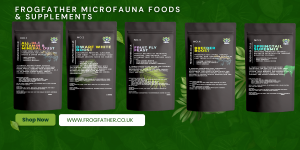 Frogfather Microfauna Foods and Supplements product range including Springtail Supermix, Dwarf White Boost, Fruit Fly Feast, All-in-1 Vitamin and Mineral Dust, and Breeder Boost Egg-Laying Formula