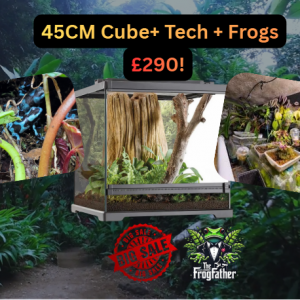 45x45x45 bioactive dart frog vivarium with carved background, Jungle Dawn LED and Wi-Fi misting system