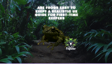 Vietnamese mossy frog used to illustrate a UK guide on how easy frogs are to keep