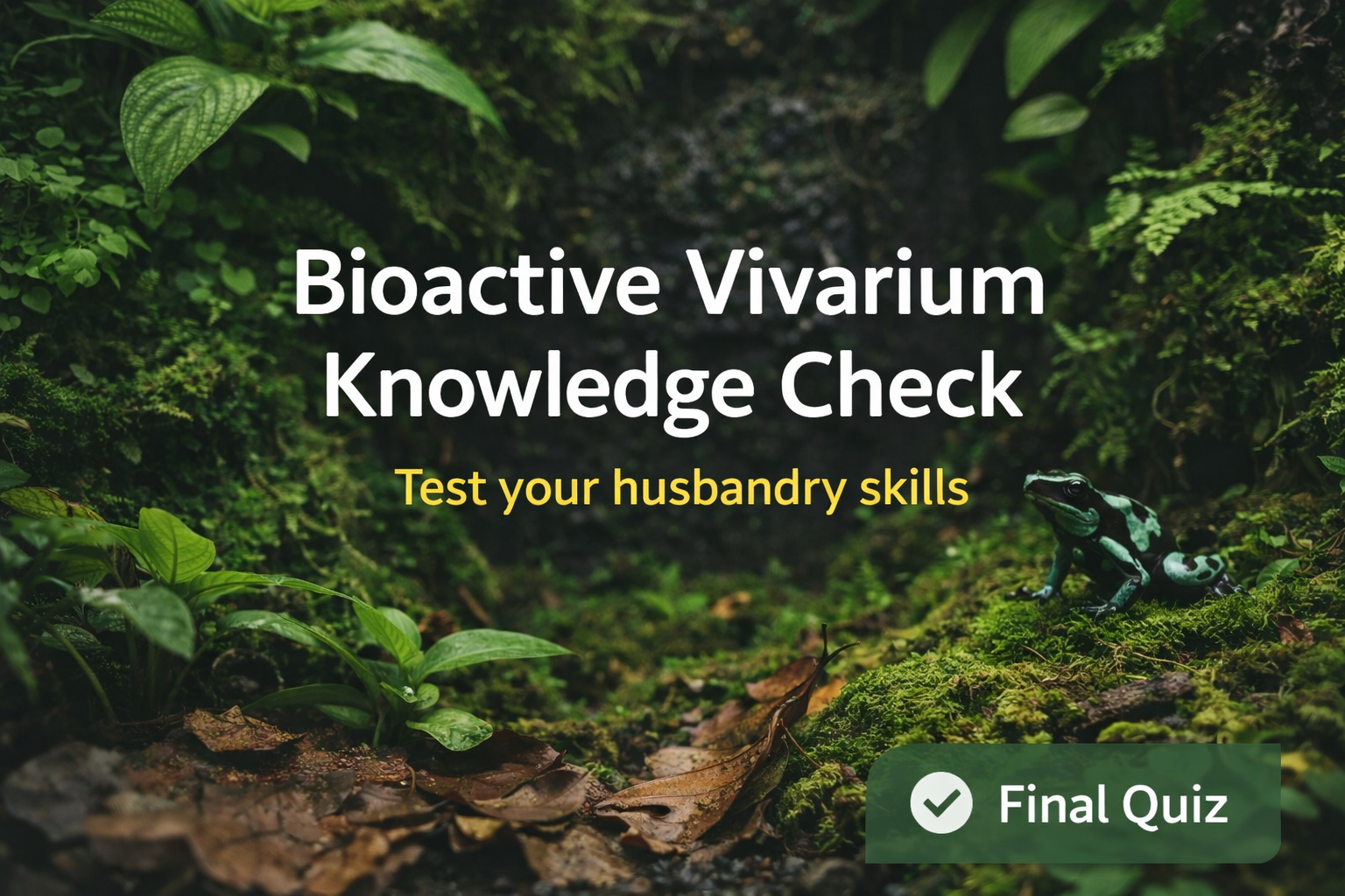 Bioactive vivarium knowledge check quiz covering dart frog husbandry and enclosure care”