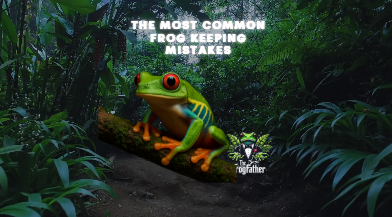 Red-eyed tree frog illustrating common frog keeping mistakes in a UK care guide