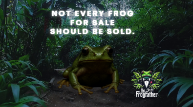 Hyper-realistic frog image warning about irresponsible frog sellers in the UK