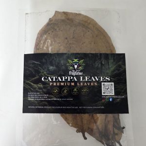 Frogfather premium Catappa (Indian Almond) leaves used as tropical leaf litter in bioactive vivariums to support microfauna, humidity balance, and natural ecosystem stability.