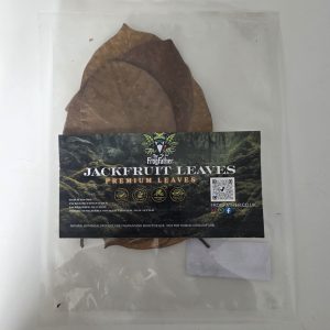 Premium Jackfruit leaves for bioactive vivarium leaf litter by Frogfather