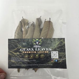 Premium Guava leaves for bioactive vivarium leaf litter by Frogfather