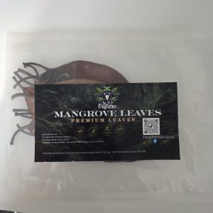 Premium Mangrove leaves for bioactive vivarium leaf litter by Frogfather