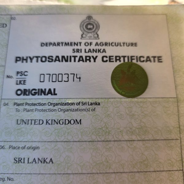 Sanitary certificate