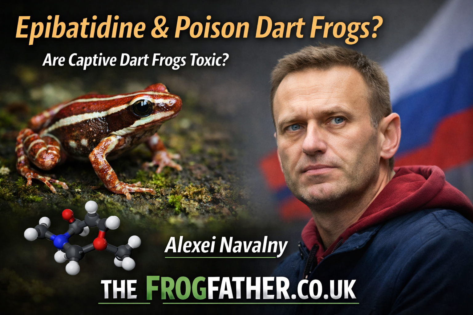 Epibatidine toxin from Epipedobates anthonyi poison dart frog explained with comparison to captive bred dart frogs and reference to Alexei Navalny case