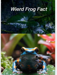 Dart Frog Swallowing Using Its Eyes