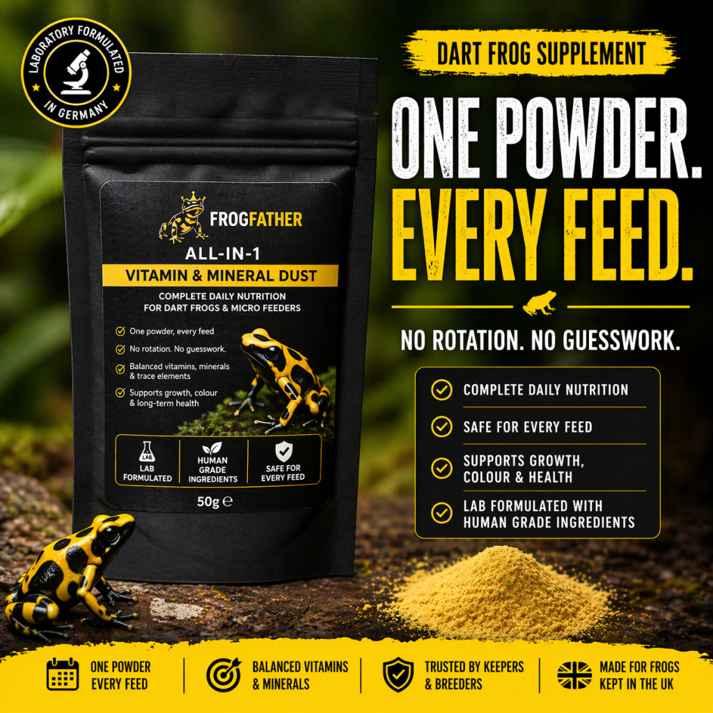 All in one dart frog supplement powder frogfather UK vitamin mineral dust one powder every feed