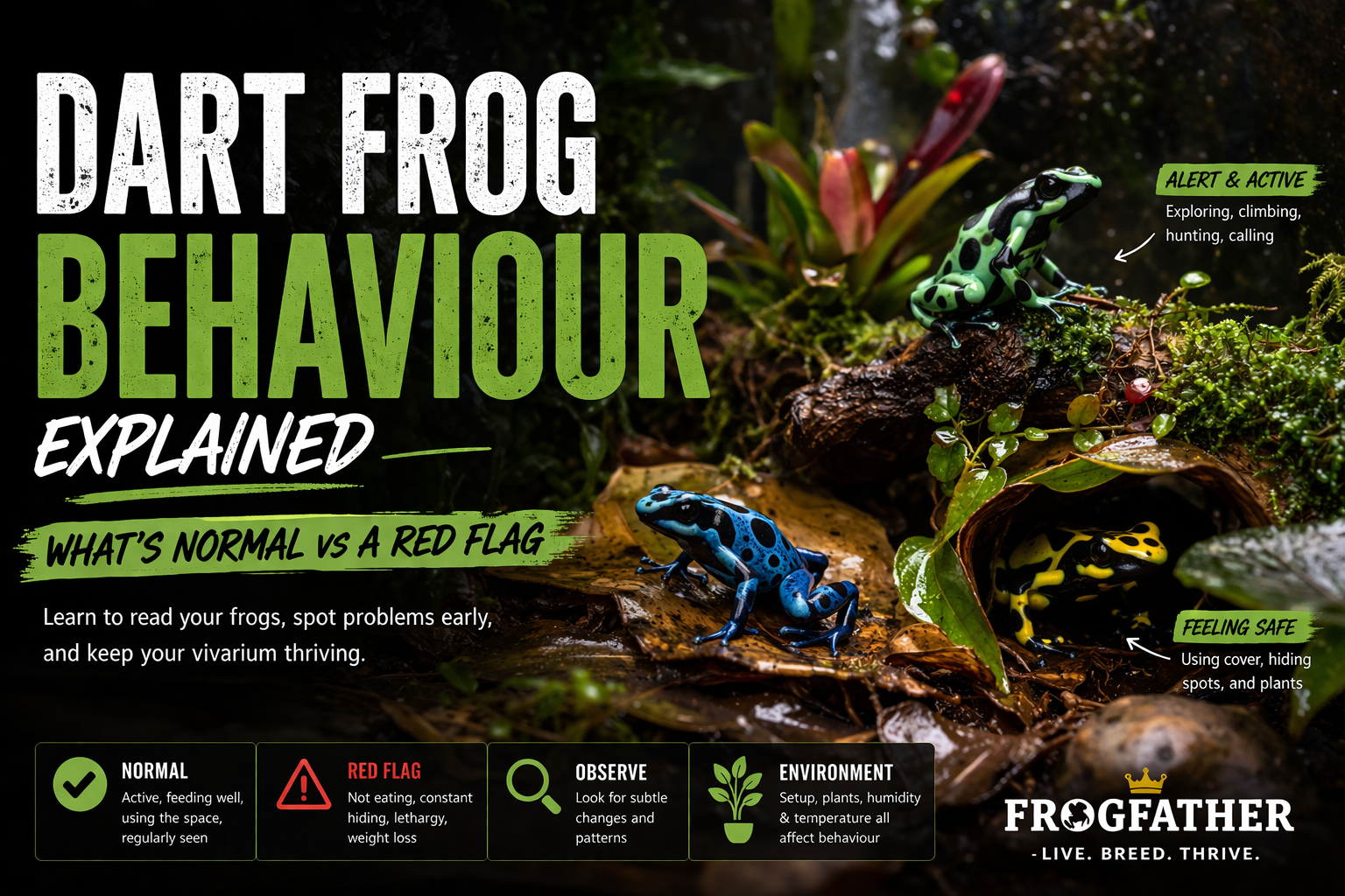 Poison dart frogs displaying natural behaviour in a planted vivarium with labels showing normal activity and red flag signs