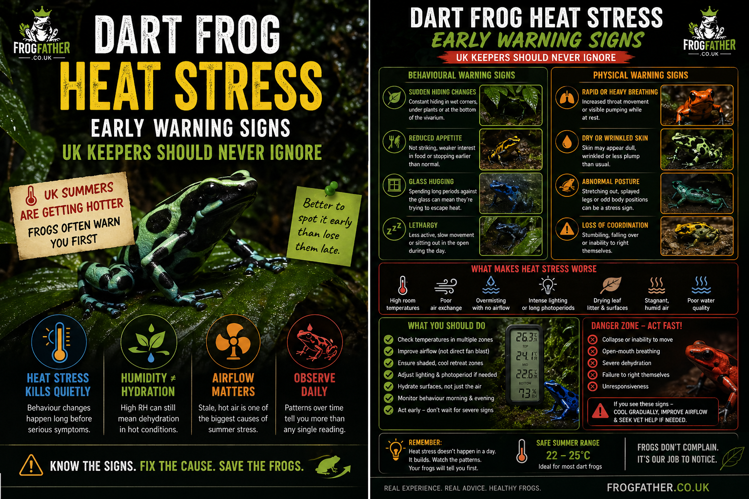 Dart frog heat stress warning signs in a UK bioactive vivarium during summer