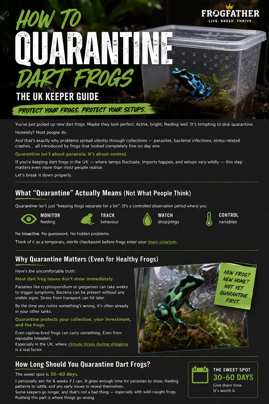 Blue poison dart frog in a quarantine tub with bold text reading How to Quarantine Dart Frogs, UK keeper guide