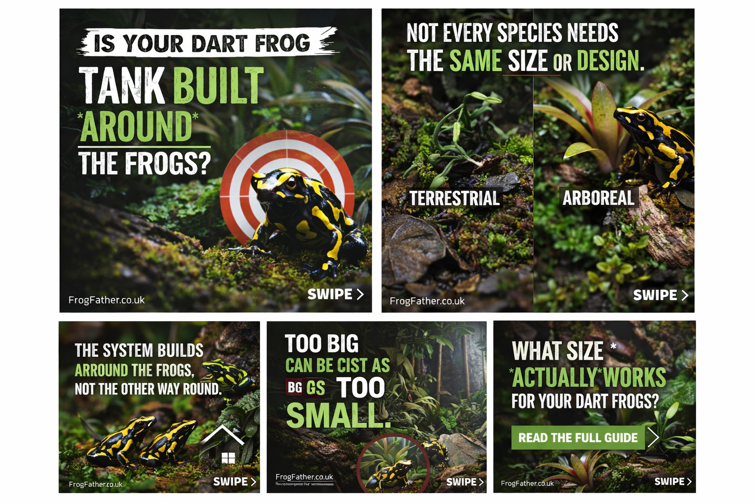 Dart frog tank size guide UK showing terrestrial vs arboreal setups, grouping behaviour and correct vivarium design