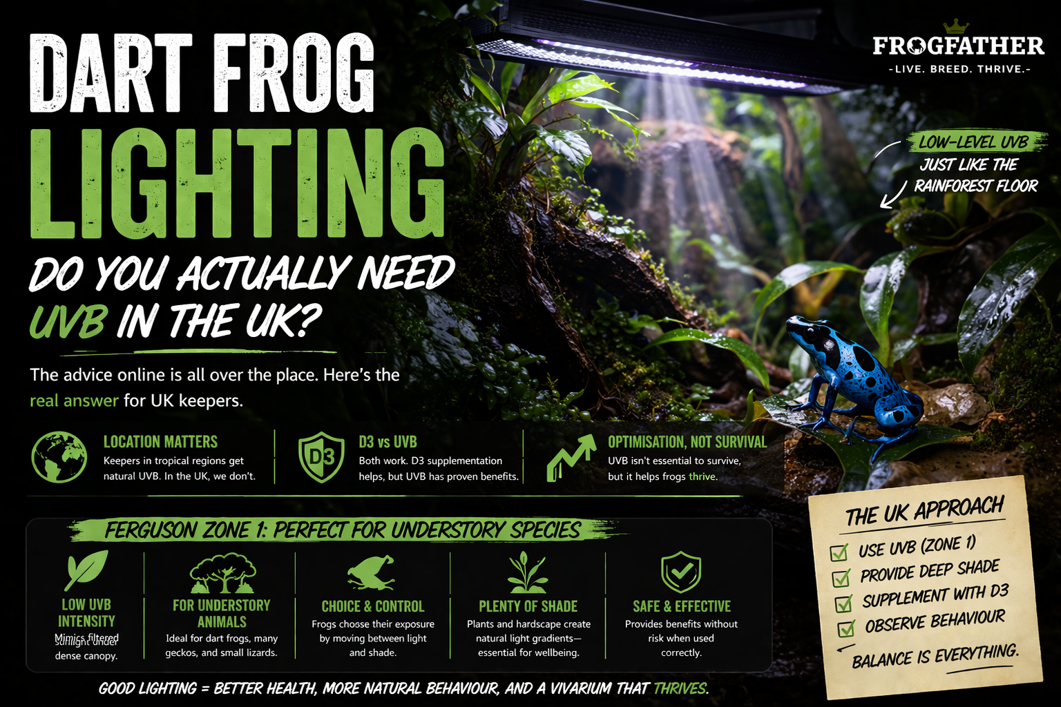 Dart frog in planted vivarium under low level UVB lighting showing shaded jungle environment and Ferguson Zone 1 setup