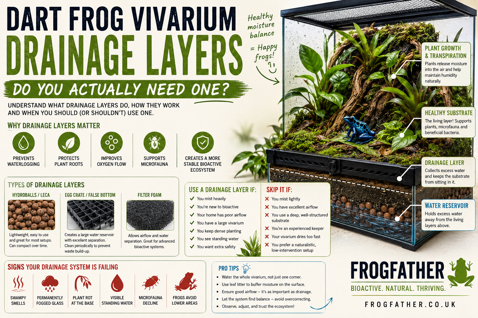 Educational infographic showing dart frog vivarium drainage layers, false bottoms, substrate moisture balance and bioactive vivarium water management for UK keepers
