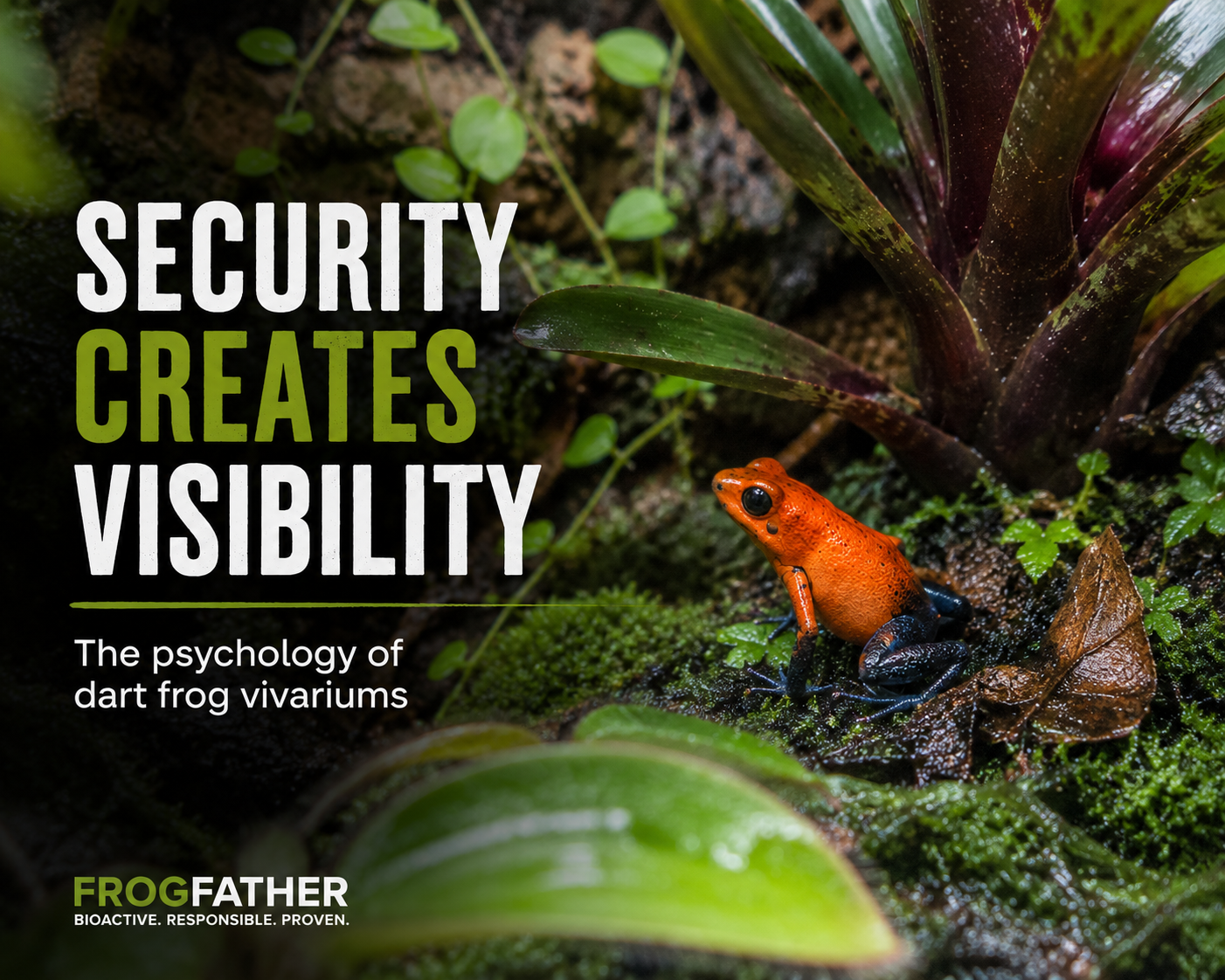 Bright orange dart frog sitting confidently in a densely planted bioactive vivarium with moss and bromeliads.