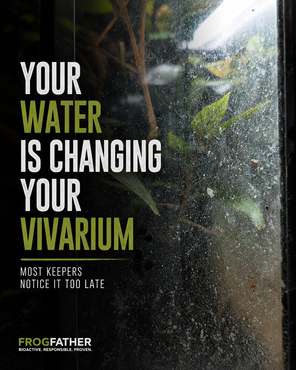 Mineral build-up and water staining on dart frog vivarium glass caused by long-term tap water use.