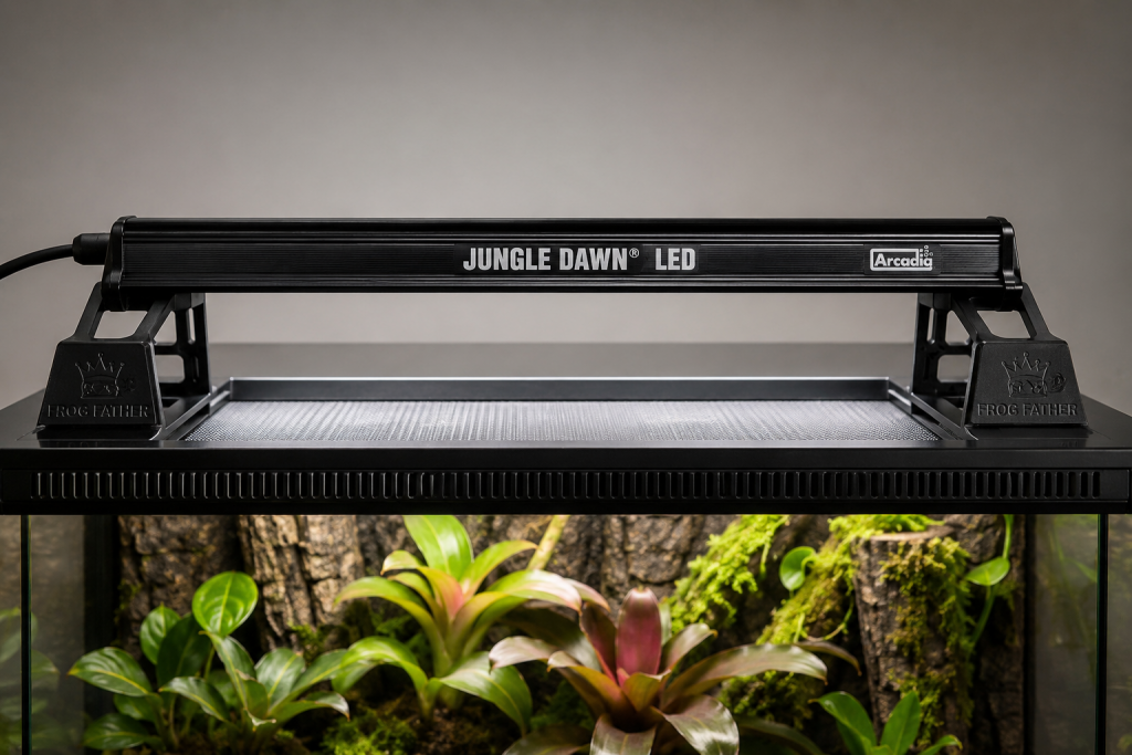 3D printed vivarium light riser supporting an Arcadia Jungle Dawn LED above a planted bioactive vivarium