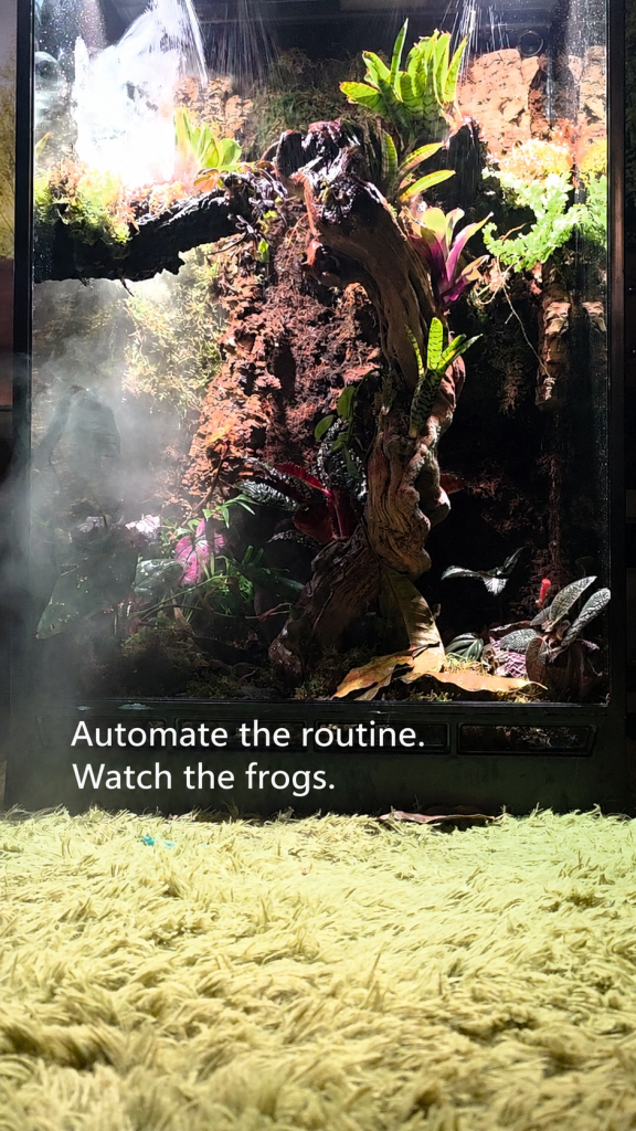 Automated bioactive vivarium with misting system, tropical plants, lighting and naturalistic hardscape.