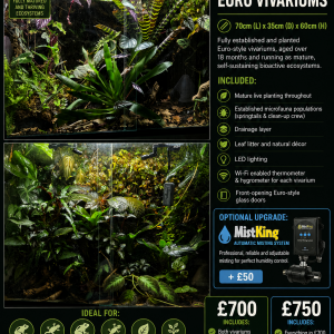 Matching pair of established Euro vivariums for sale in Nottingham, fully planted bioactive enclosures with live tropical plants, lighting, microfauna and optional MistKing misting system.