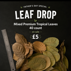Mixed premium tropical leaves 40 count Leaf Drop Deal for bioactive vivariums and terrariums