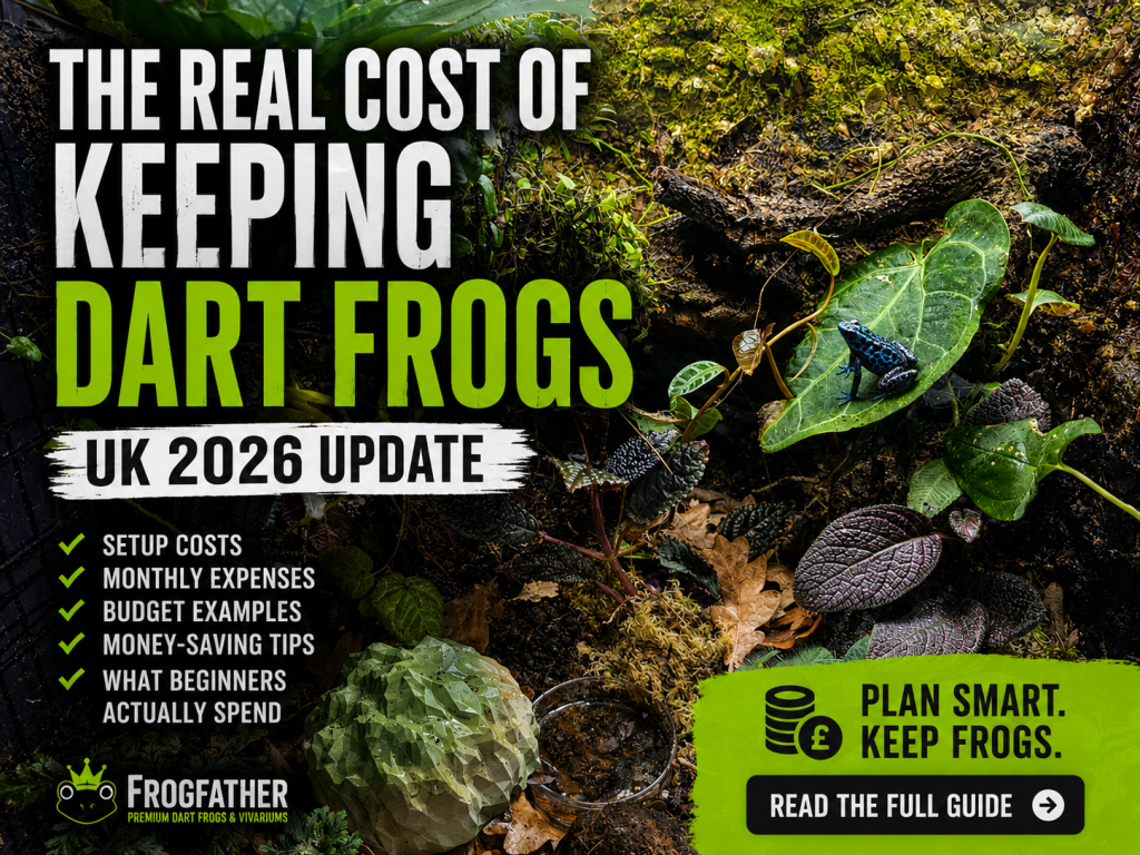 Bioactive dart frog vivarium showing tropical plants, leaf litter and a captive-bred dart frog illustrating the real cost of keeping dart frogs in the UK.