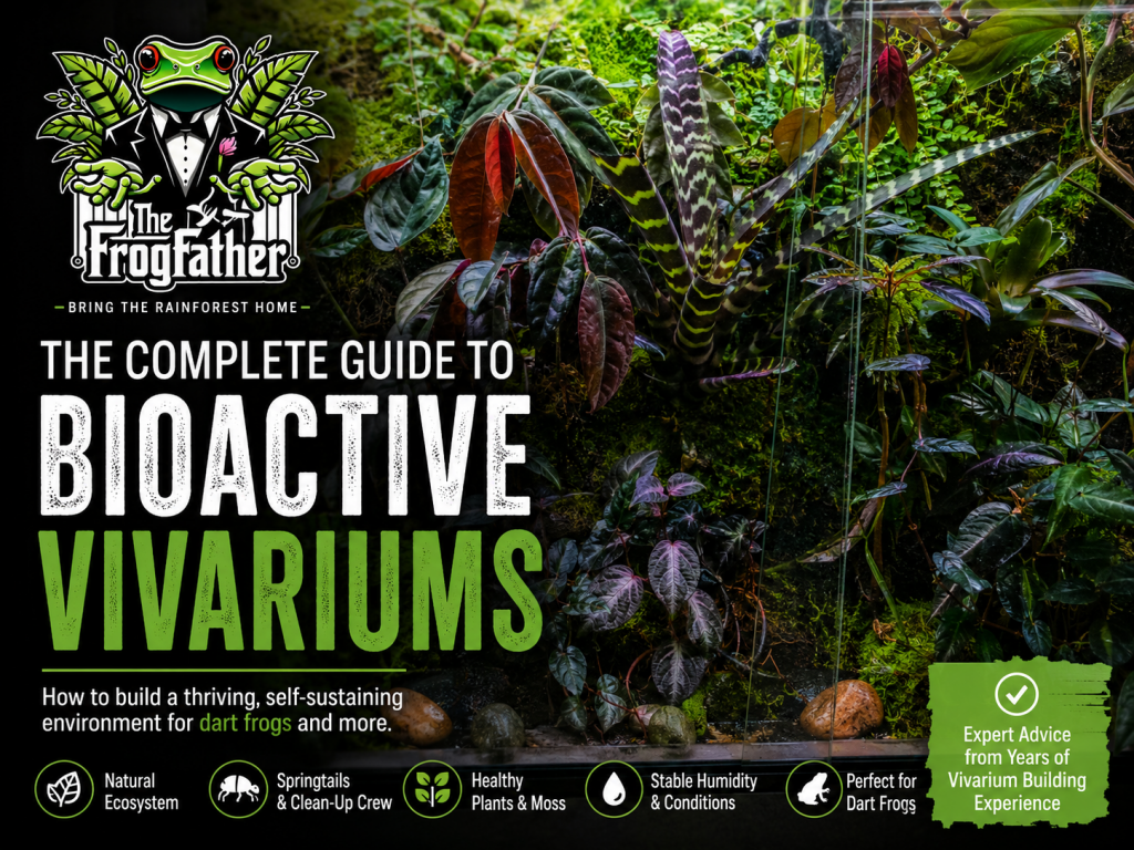 A mature bioactive dart frog vivarium with tropical plants, moss, springtails and natural hardscape.